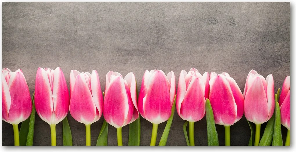 Fotótapéta üvegfalra Rózsaszín tulipánok 140x70