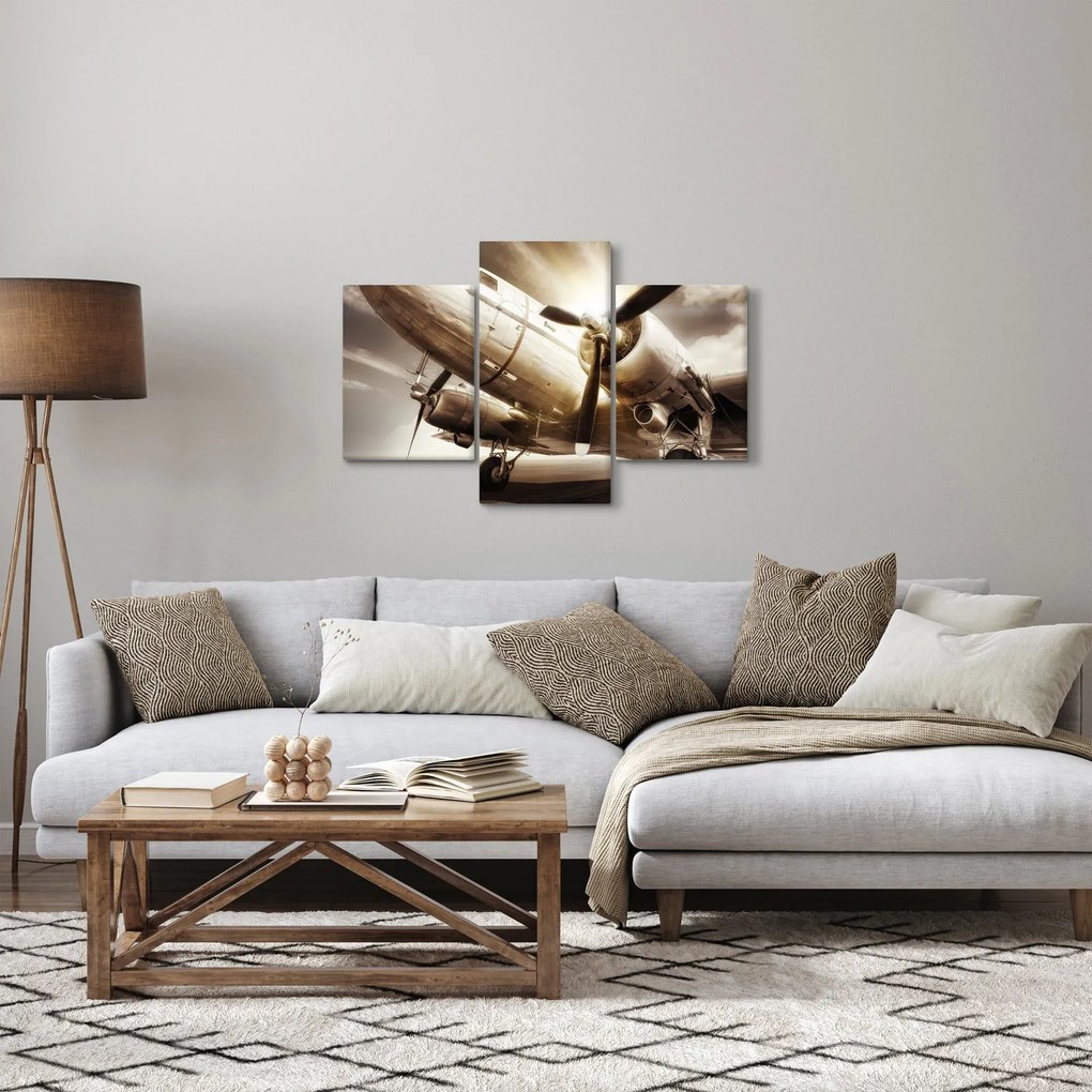 Egy repülőgép képe (90x60 cm)