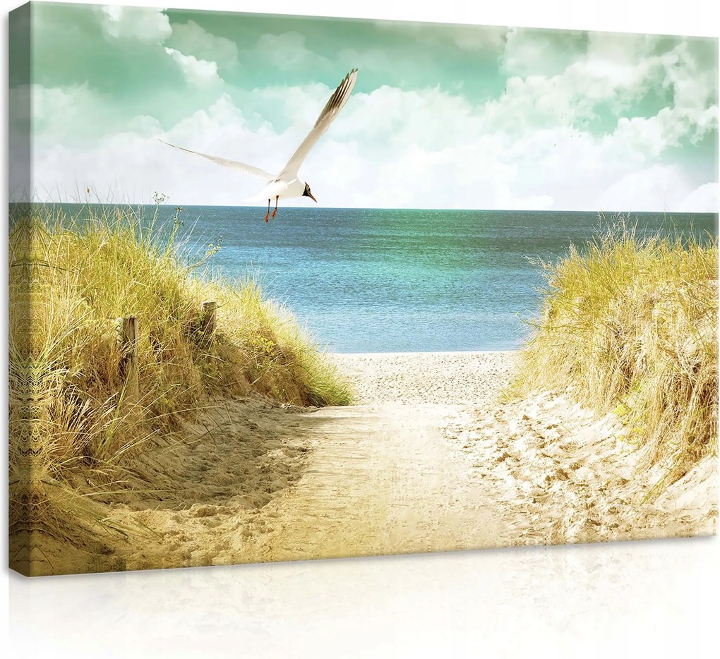 Vászonkép 70x50 Tengeri táj tengerpart sirály dűnék tenger nyár természet nyugalom