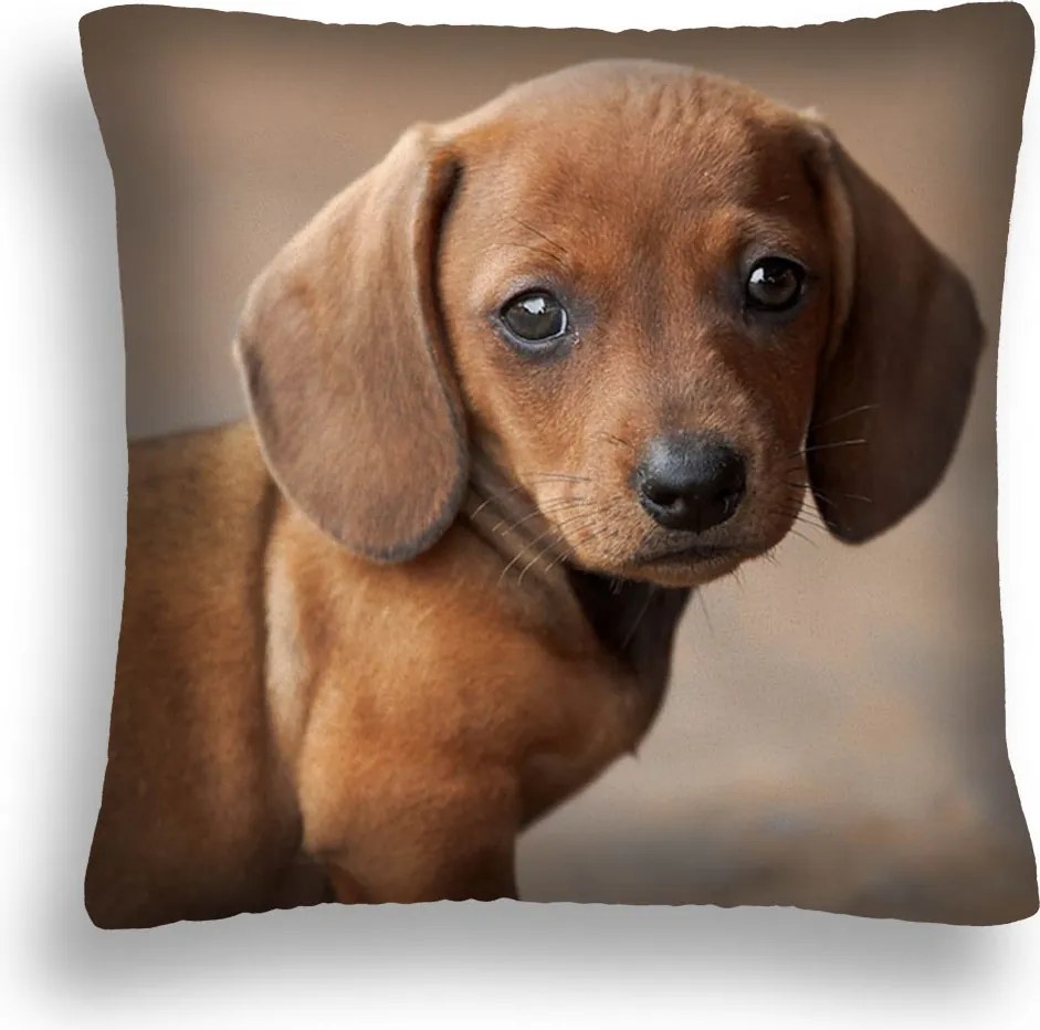 Kutya Párna 07 Barna Kiskutya Párnahuzat Pl 40X40