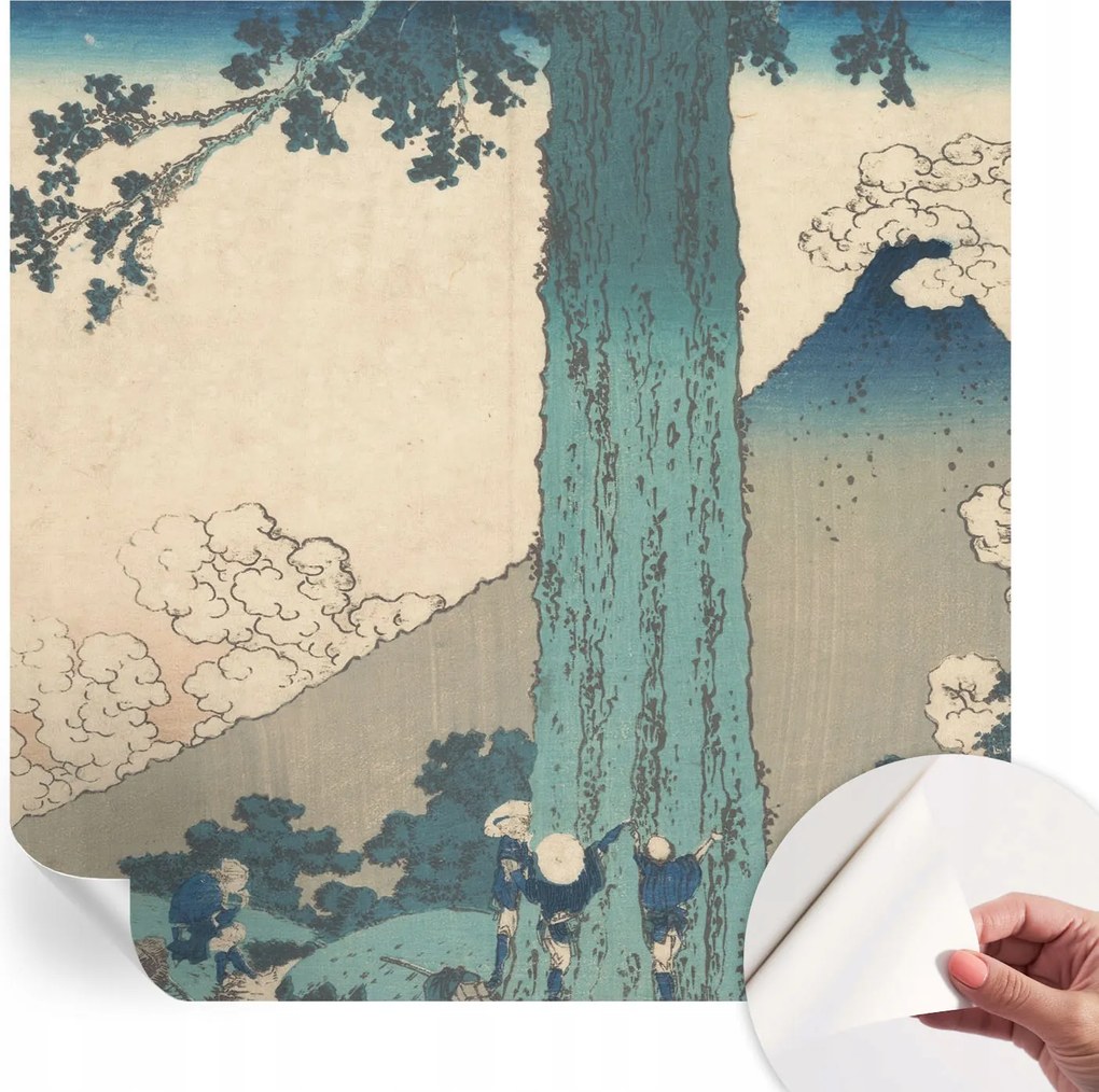 Modern öntapadós fotótapéta Falra Hegyi panoráma 250x250 cm