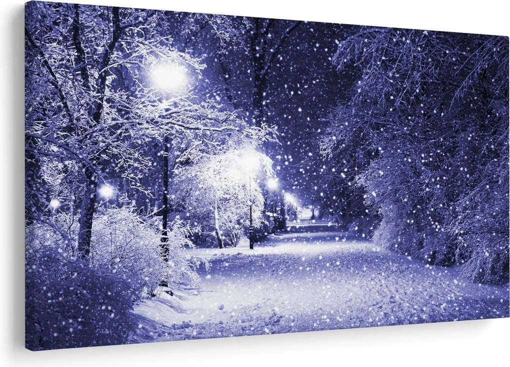Kép - varázslatos téli éjszaka (90x60 cm)