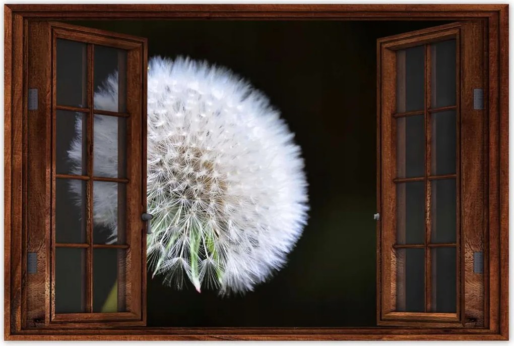 Poszterek 120x80 Pitypang Virág Virágok