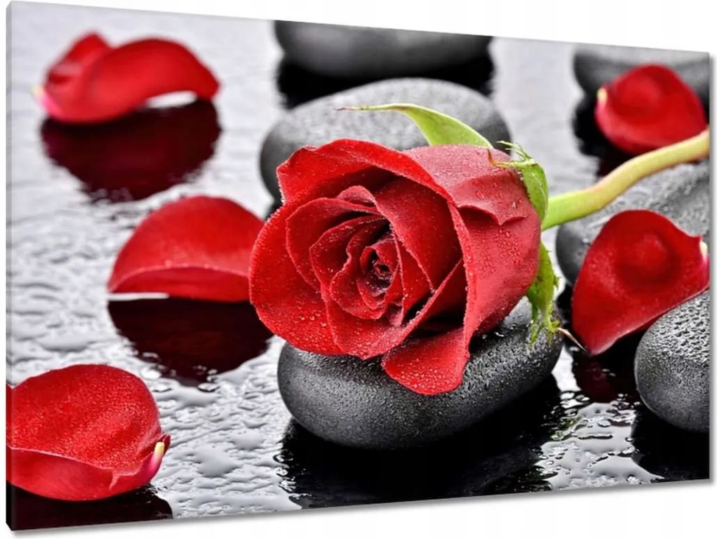 Vászonkép 120x80 Vörös rózsa Neki
