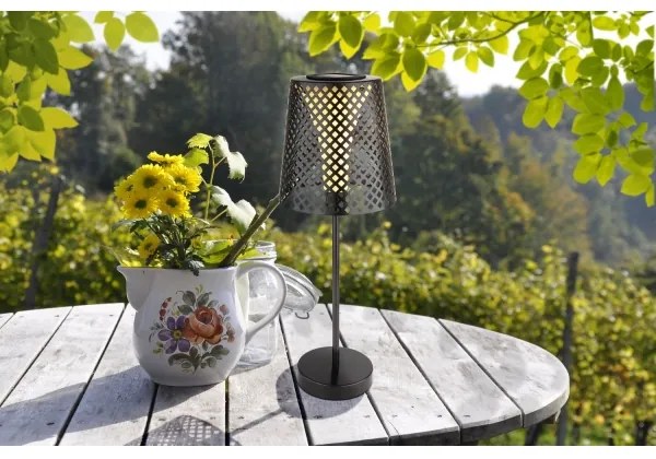 Globo 36629 - LED Napelemes lámpa SOLAR LED/0,06W/3V IP44