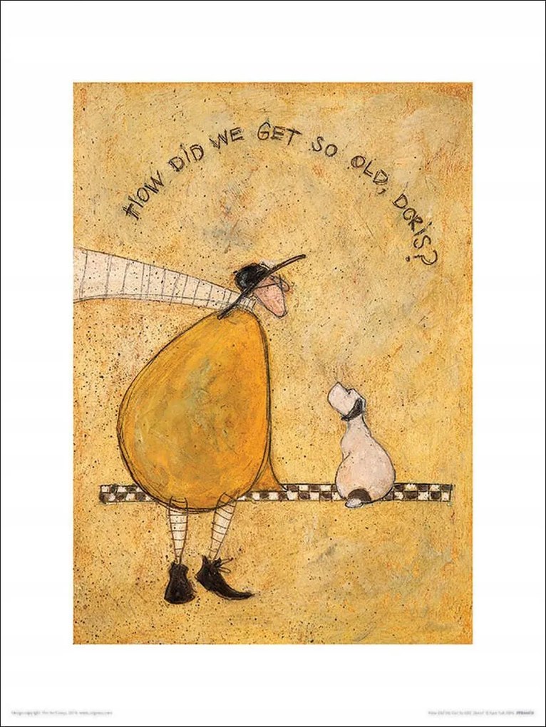 Sam Toft How Did We Get So Old ? prémium poszter