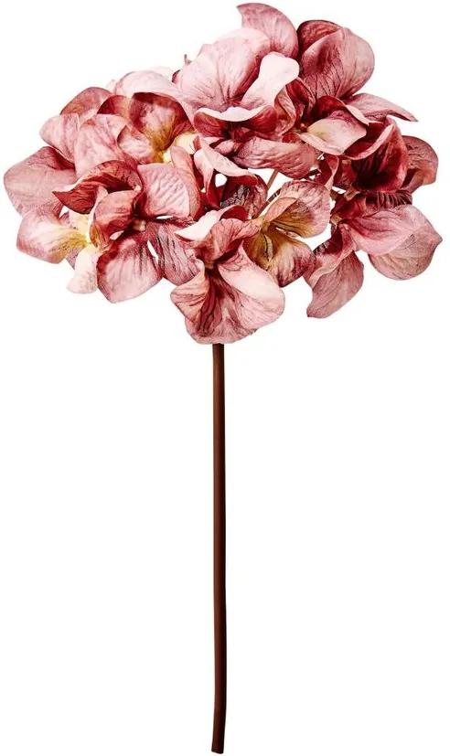 WINTERGREEN hortenzia, sötét rózsaszín 29 cm