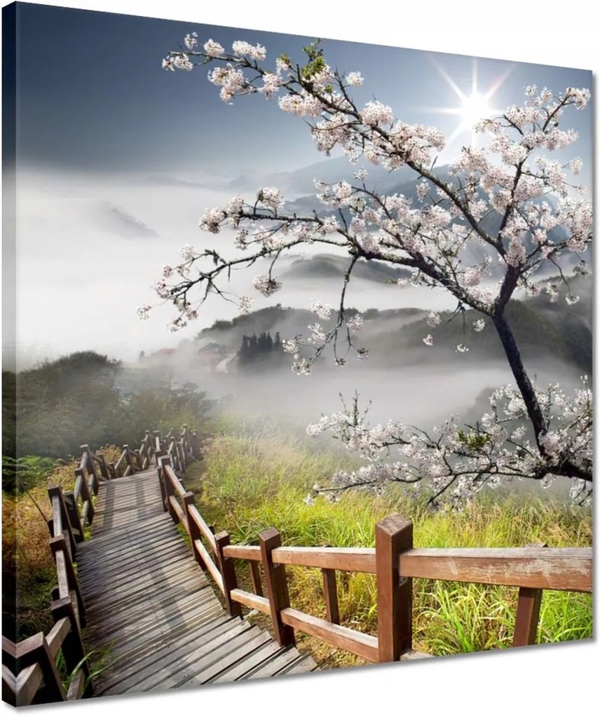 Vászonkép 40x40 Japán Virágzó cseresznye