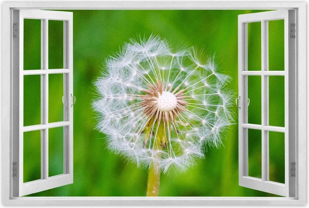 Poszterek 90x60 Pitypang Virág Virágok