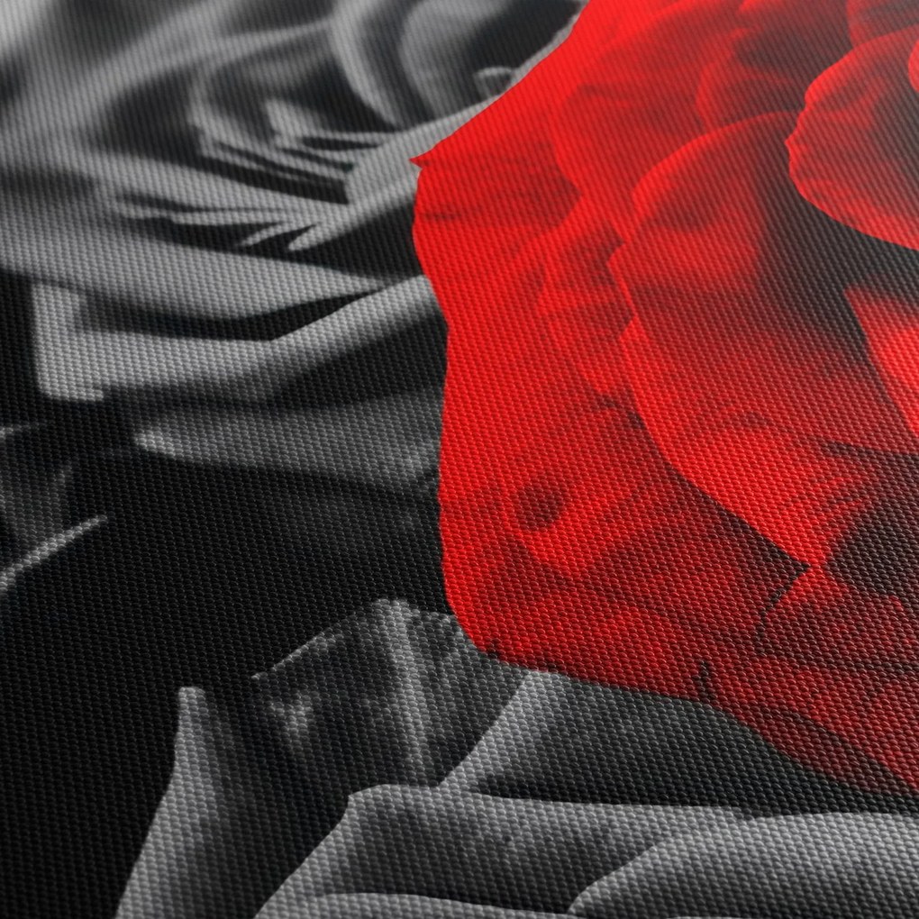 Kép - Rózsák (120x50 cm)