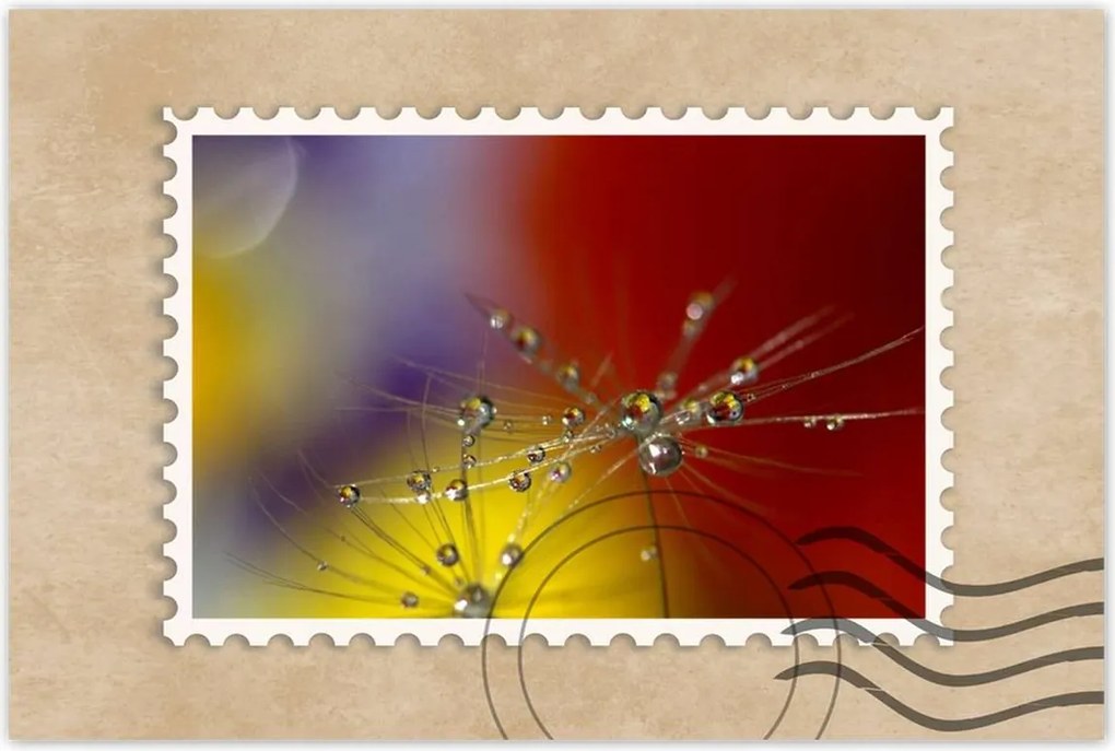 Poszterek 60x40 Pitypang Virág Virágok