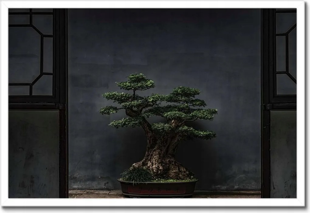 Poszterek keretben 60x40 Bonsai Fa Kultúra