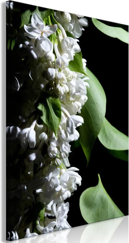 Kép - Lilacs Detail (1 Part) Vertical