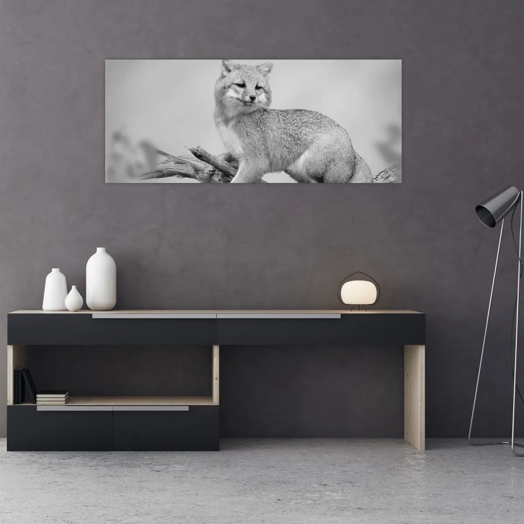 Kép - Szürke róka (120x50 cm)