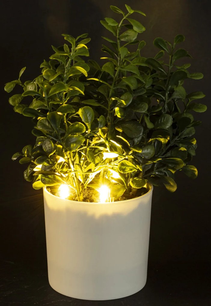 Dekoratív LED dísznövény Műanyag Zöld 25x17x17cm