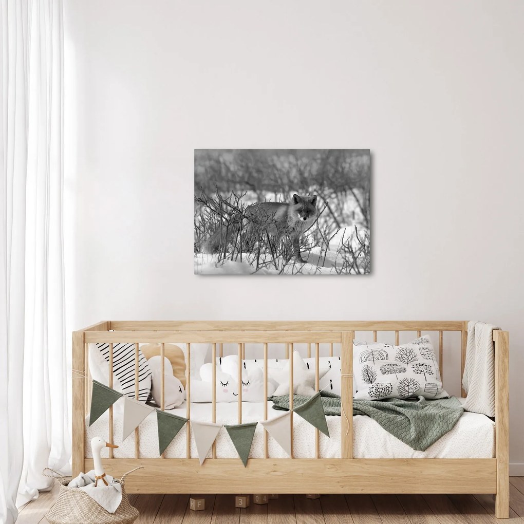 Kép - Róka télen (70x50 cm)