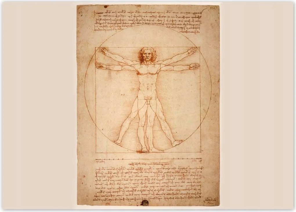 Poszterek 70x50 Vitruvius ember