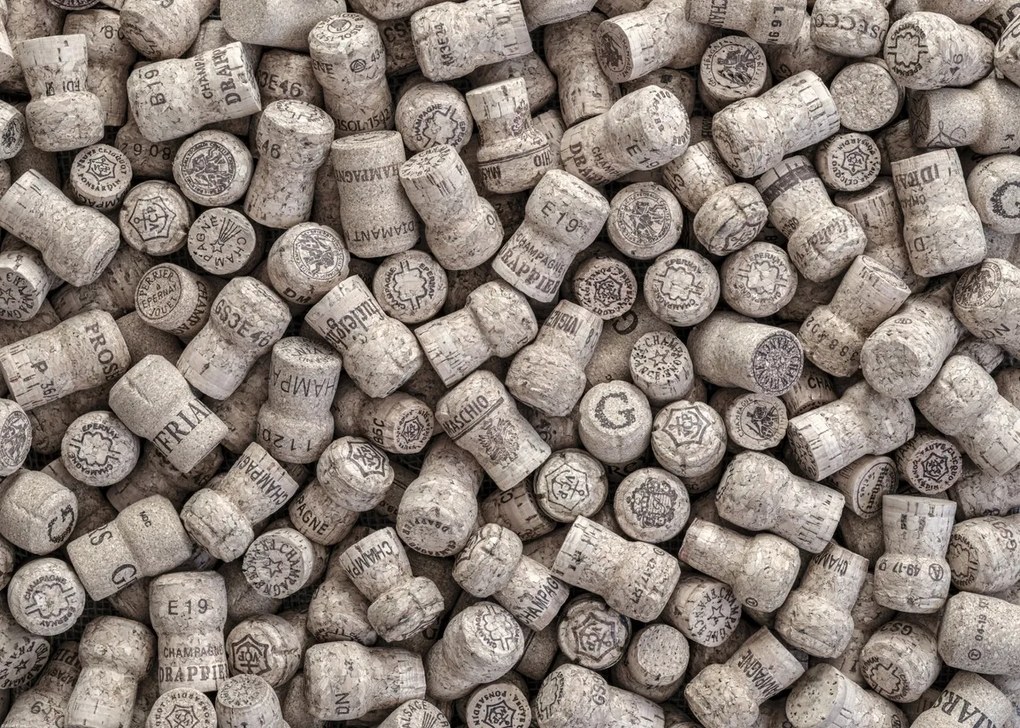 Poszter 70x50cm Pezsgős dugók, Assaf Frank