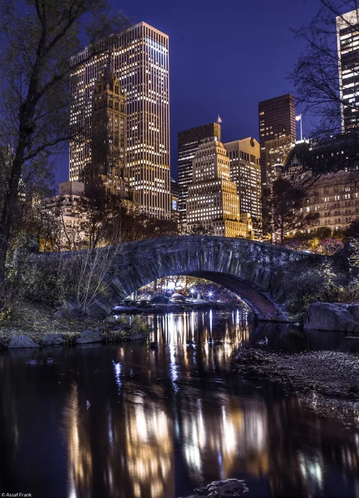 Poszter 20,5x28,4cm Esti kilátás a New York-i Central Parkra, Assaf Fra