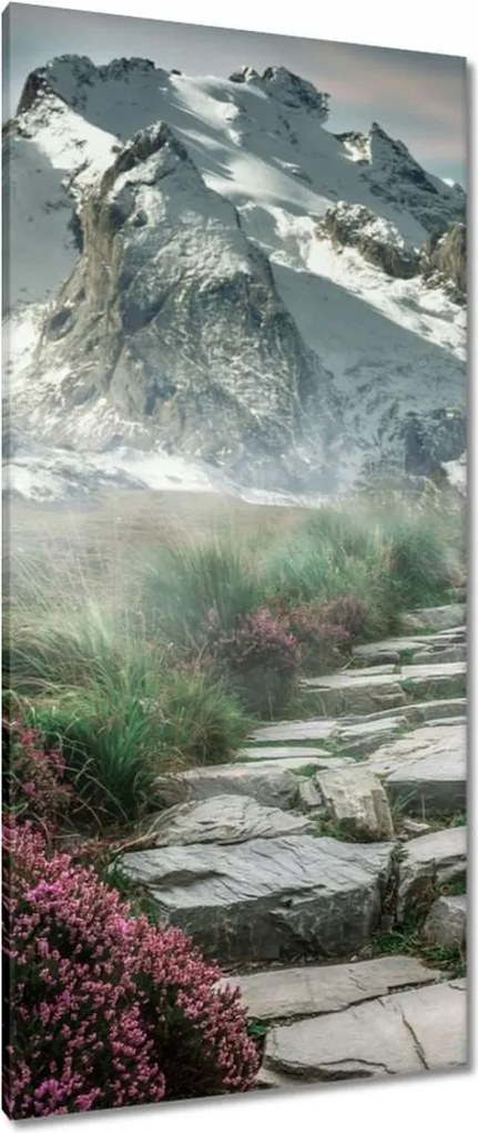 Vászonkép 55x115 Hegyi kilátás Tájkép Köd