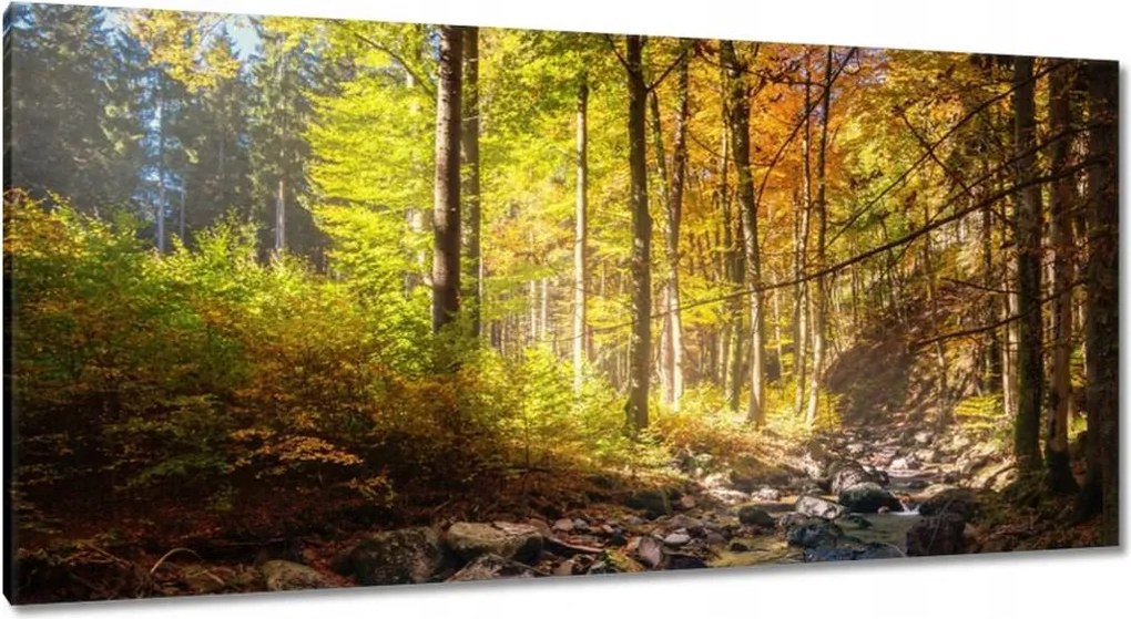 Festmények 115x55 Tájkép