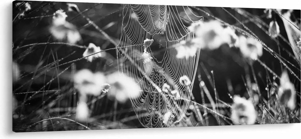 Kép - Pókháló a réten (120x50 cm)