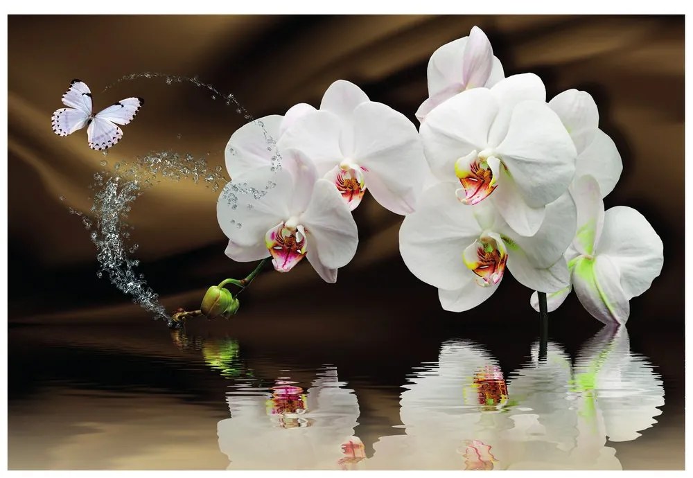 Tapéta orchidea és lepke