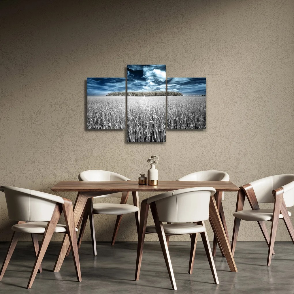 A mező képe (90x60 cm)