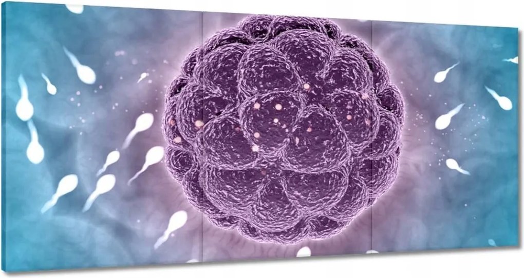 Festmények 120x60 Ne maradj le