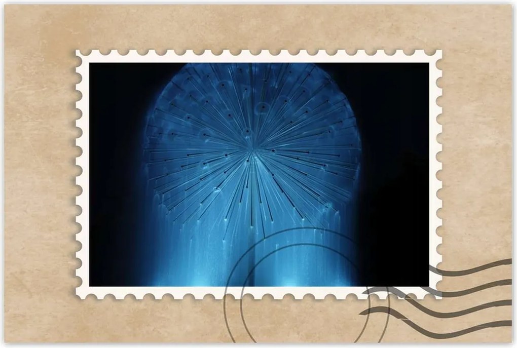 Poszterek 120x80 Pitypang Virág Virágok