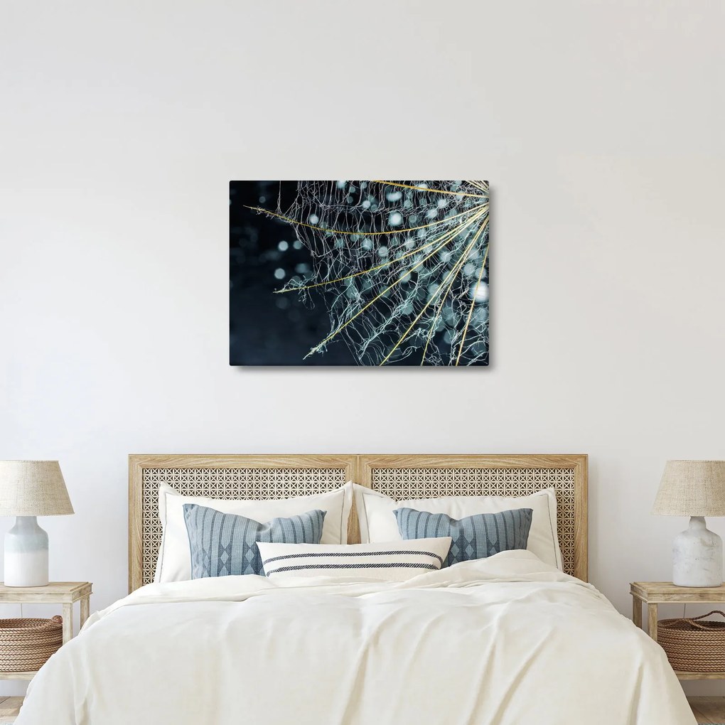 Kép - Virág pókhálóval (70x50 cm)