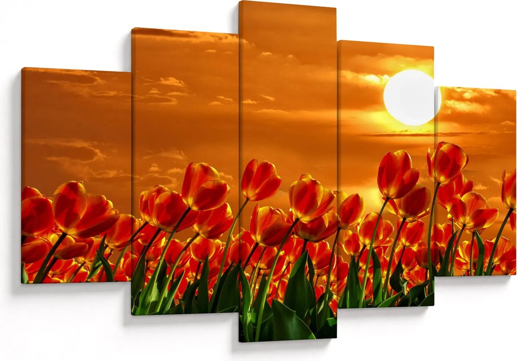 Kép egy virágzó mező tulipánokkal (150x105 cm)
