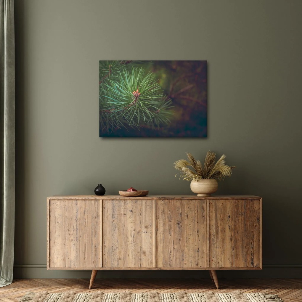 Kép - Fenyőfa részlete (70x50 cm)