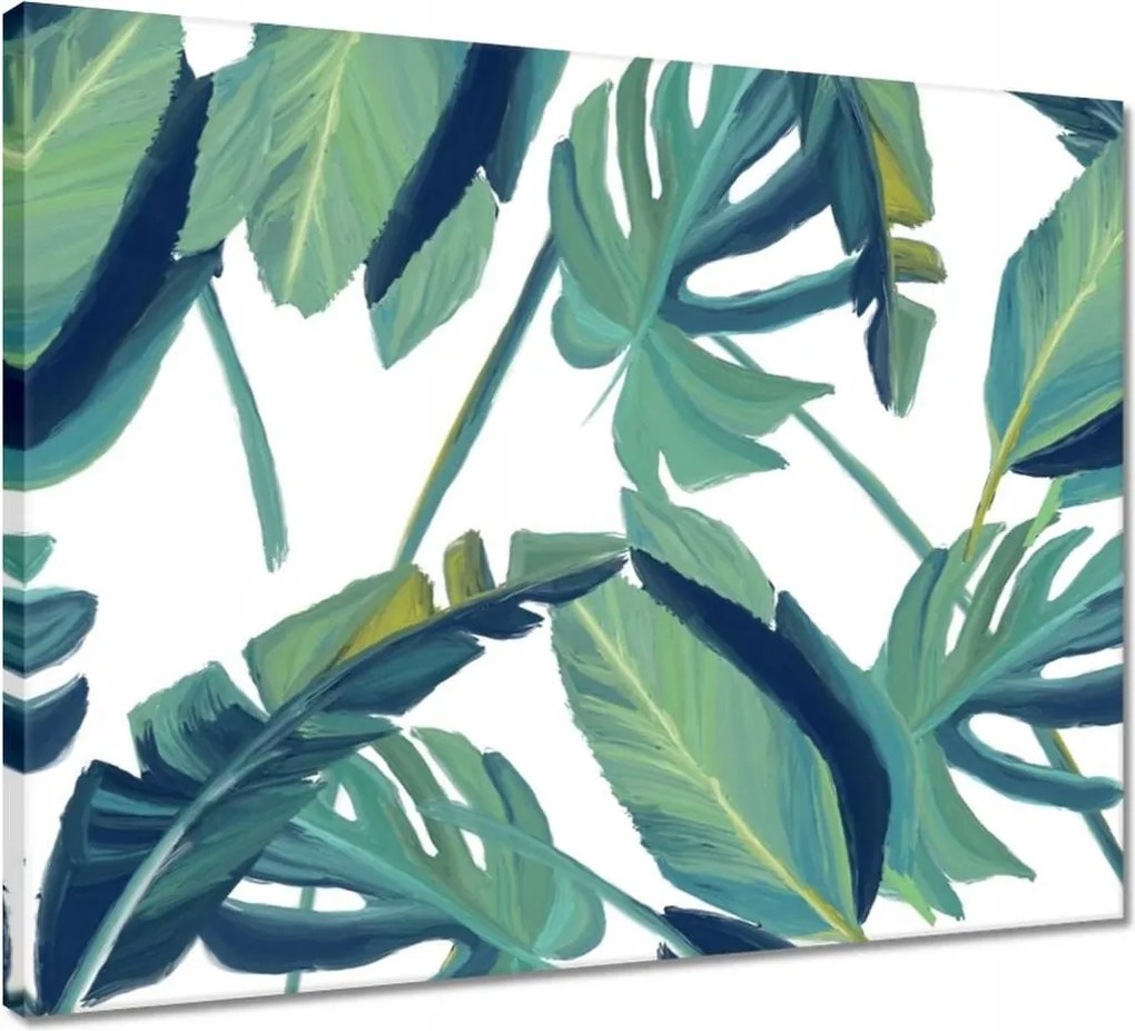 Vászonkép 50x40 Monstera Levelek levél