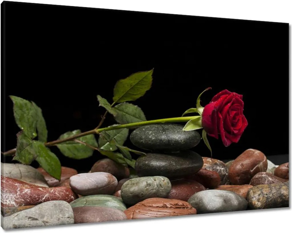 Vászonkép 100x70 Spa Wellness Relaxáció Víz