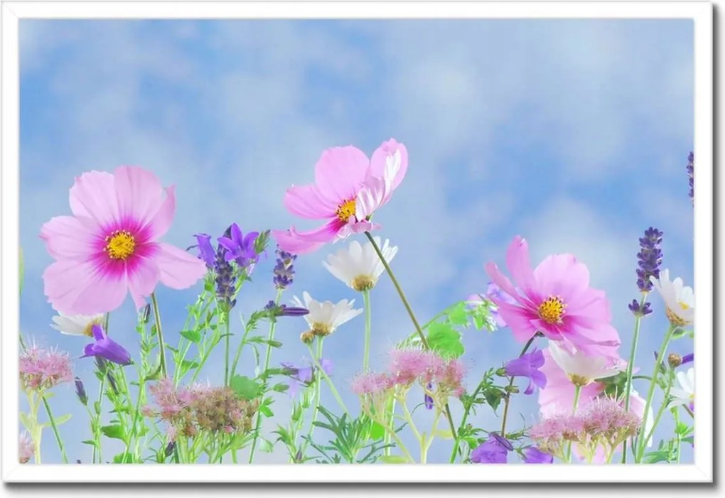 Poszterek keretben 60x40 Finom virágok