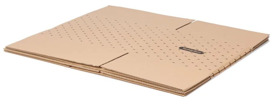 Teddy 2 db-os bézs tárolódoboz szett, 42 x 30 cm - Compactor