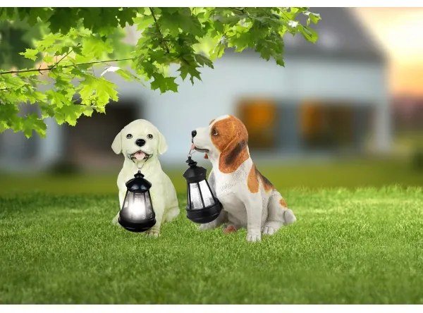 Globo 33371 - Napelemes lámpa SOLAR 1xLED/0,06W/3V IP44