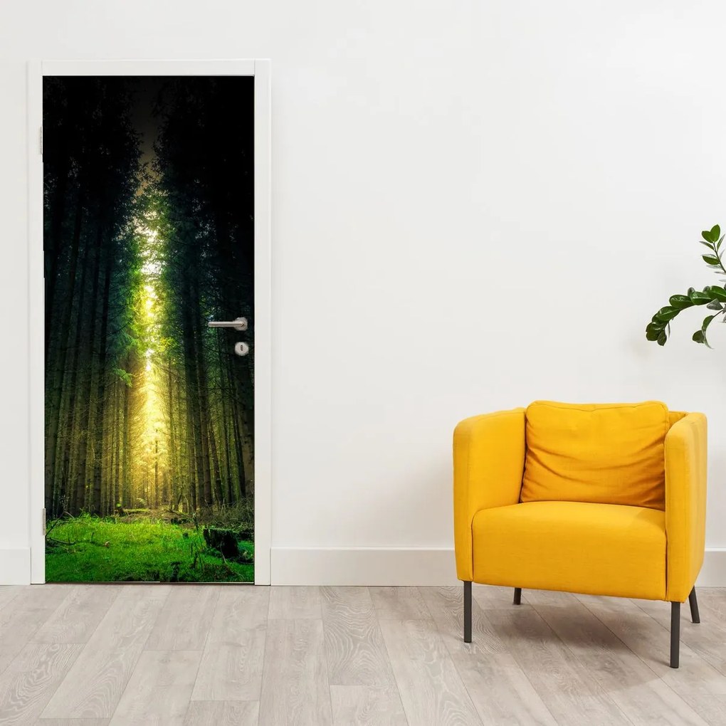 Fotótapéta ajtóra - Sötét erdő (95x205cm)