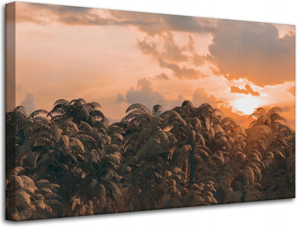 Vászonkép Fák Naplemente Felhők Égbolt 80x50 cm