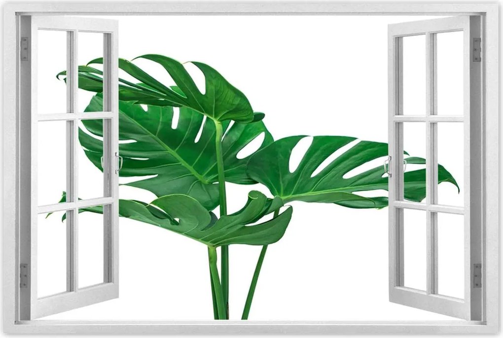 Poszterek 120x80 Monstera Lyukas levelek