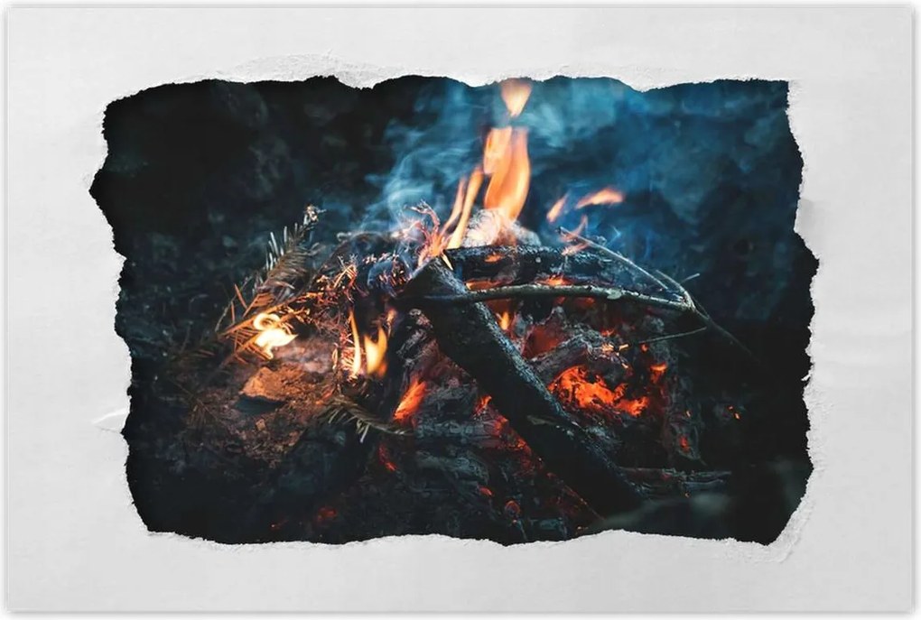 Poszterek 60x40 Tűz az éjszakában az erdőben