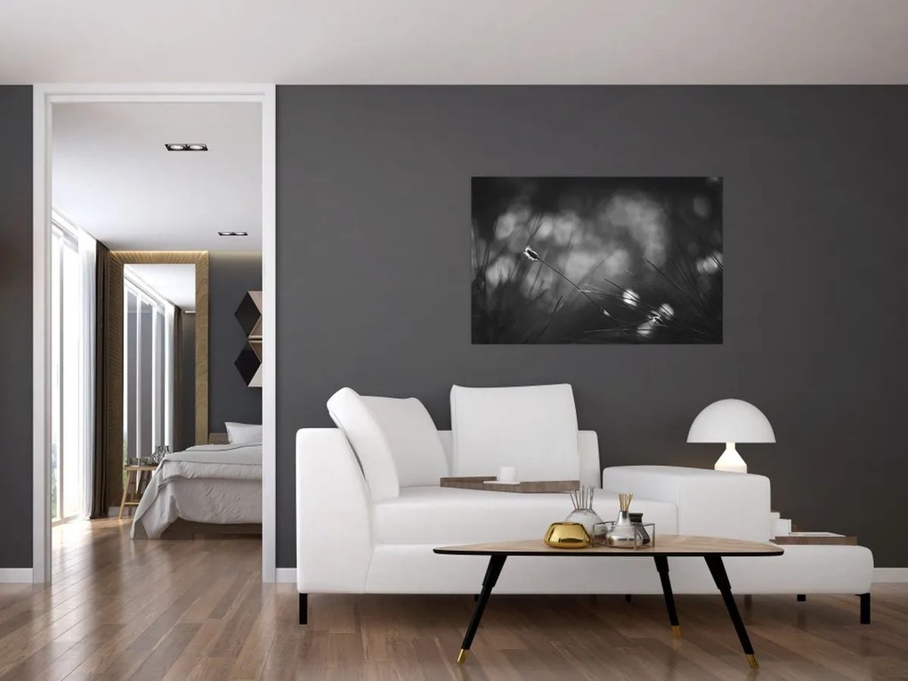 Kép - Mezei fű (90x60 cm)