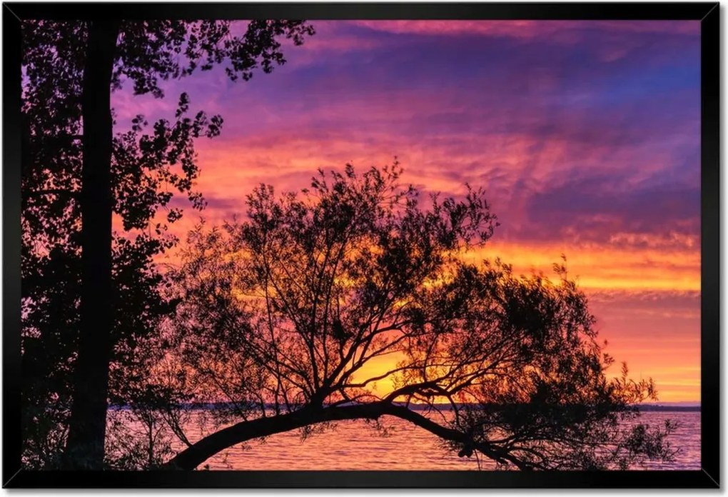 Poszterek keretben 60x40 Tó Fa Nyugat