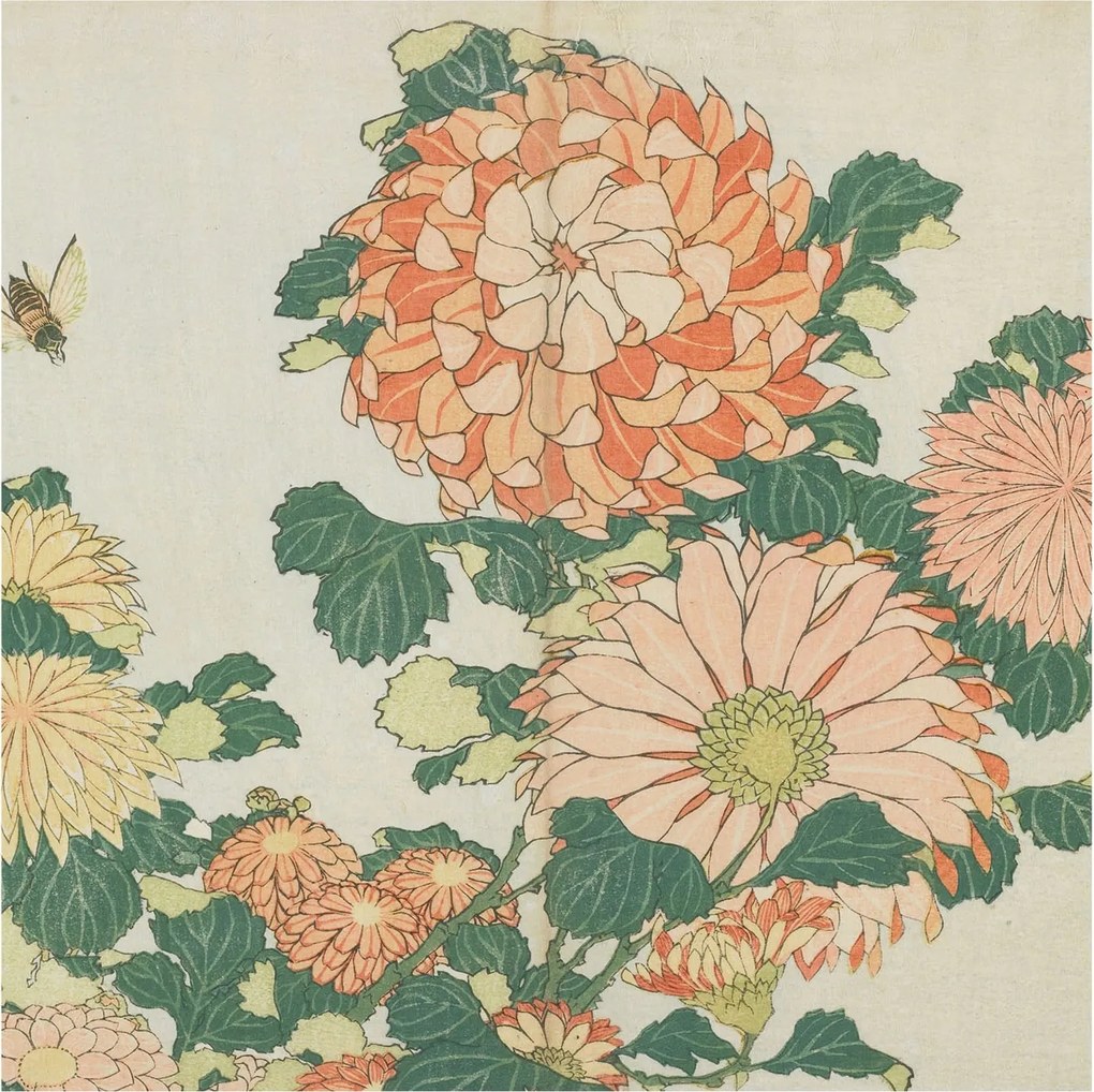 Tapéta Flizelin Falfestmény Prémium Krizantém Virágok 250x250 Ragasztó