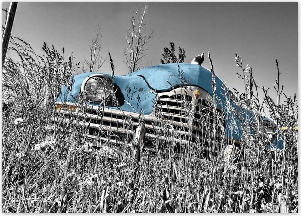 Poszterek 70x50 Kék Öregember Műemlék