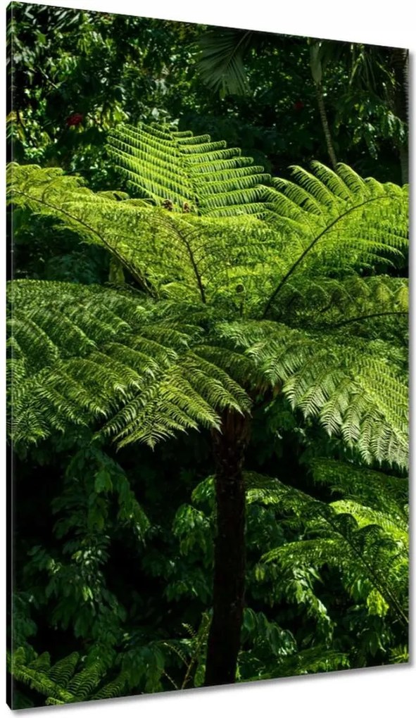 Vászonkép 80x120 Virágok