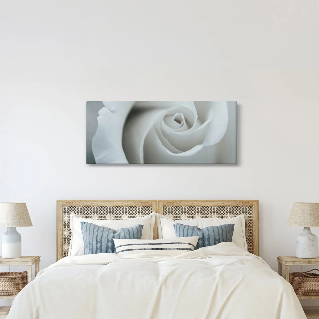 Kép - Fehér rózsa (120x50 cm)