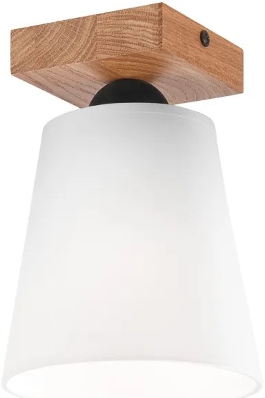 Felületre szerelhető csillár LULA 1xE27/60W/230V tölgy