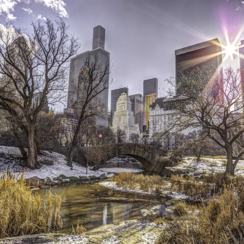 Poszter 20x20cm Központi park Alsó-Manhattan panorámával, Assaf Frank